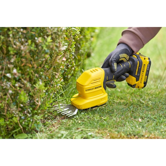Photo of STANLEY STCSS20D1 cordless grass shear and shrub trimmer in use, trimming lawn edge near hedge.